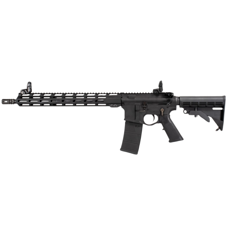 Add a heading - 2024-09-01T181107