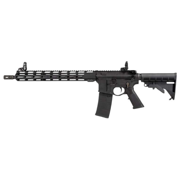 Add a heading - 2024-09-01T182205