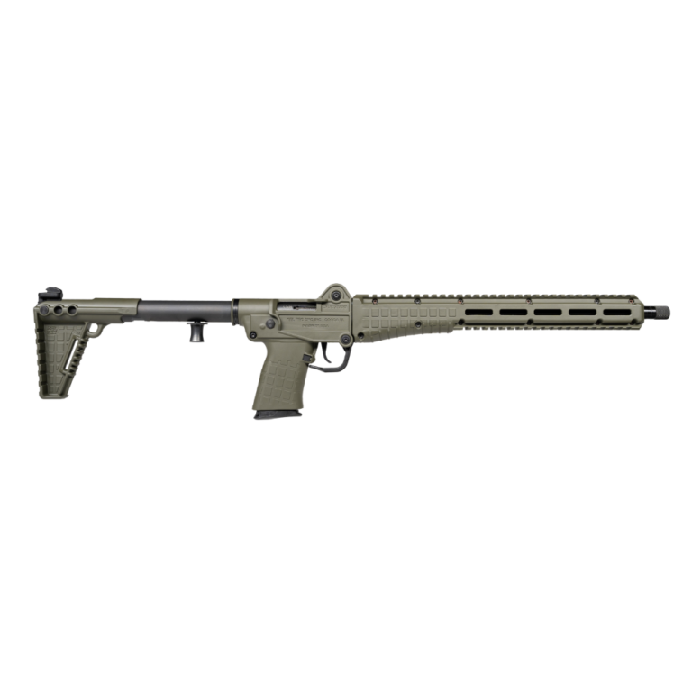 welcome to - 2024-11-06T205536