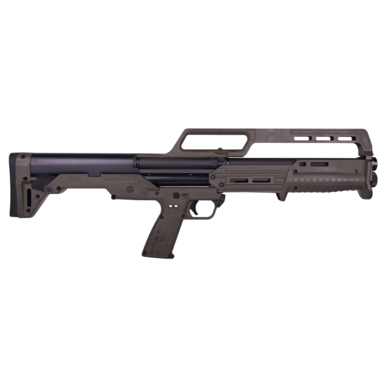 welcome to - 2024-11-07T092008