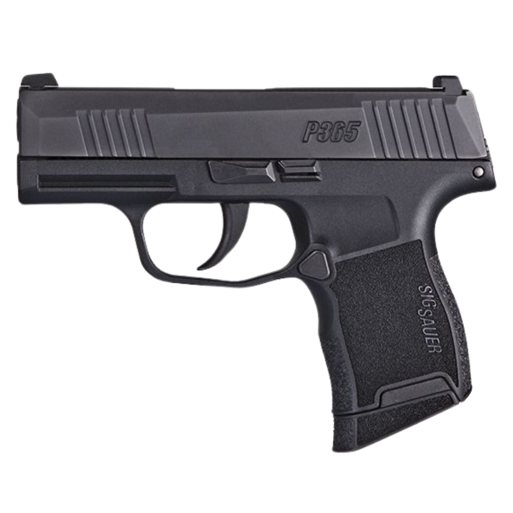 welcome to - 2024-11-20T164948.216