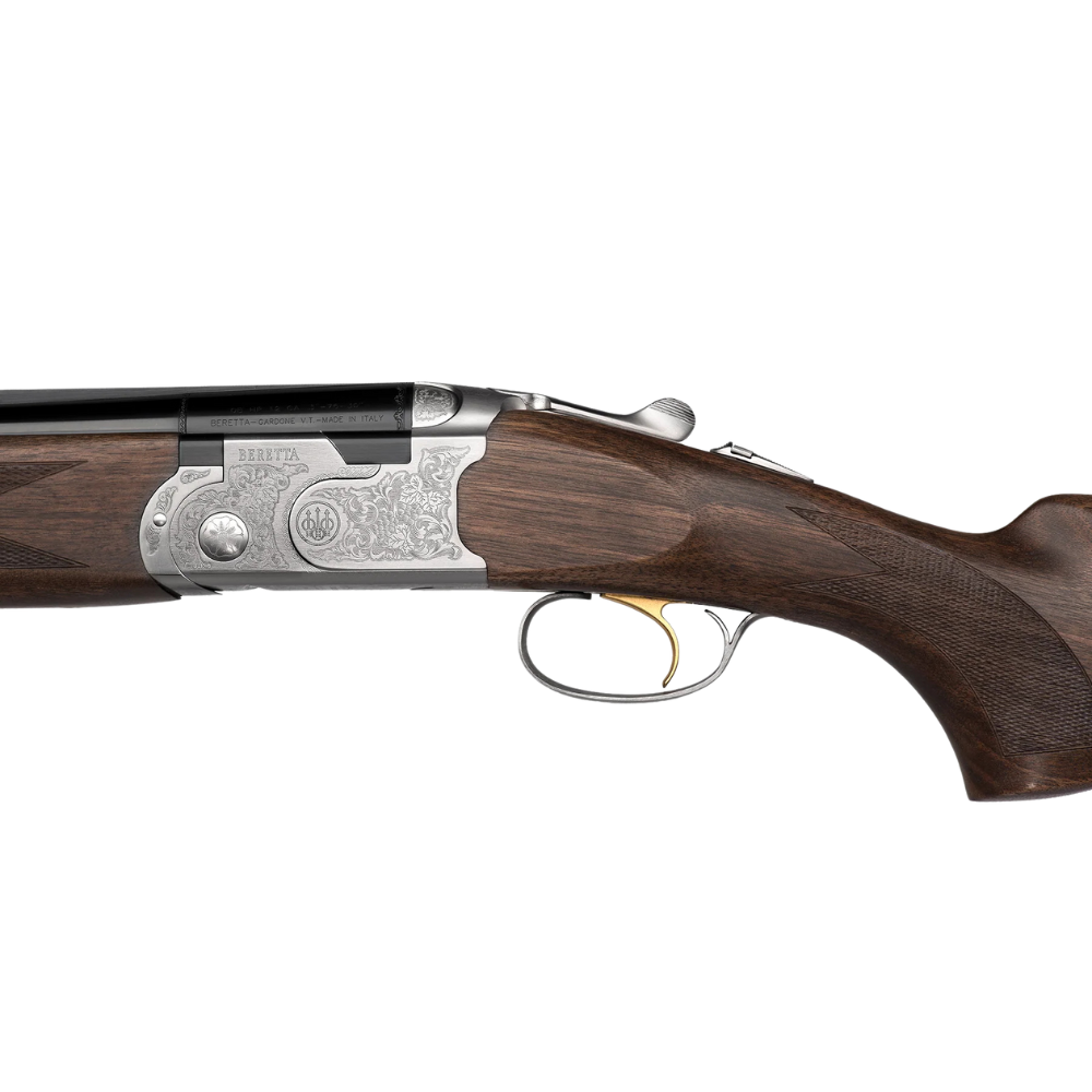 welcome to (1000 x 1000 px) - 2024-12-30T205447.025