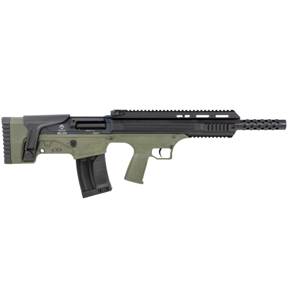 welcome to (1000 x 1000 px) - 2025-02-06T172206.621